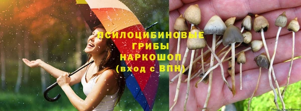 амф Армянск